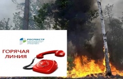 «Горячая линия» в условиях ЧС