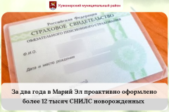 За два года в Марий Эл проактивно оформлено более 12 тысяч СНИЛС новорожденных