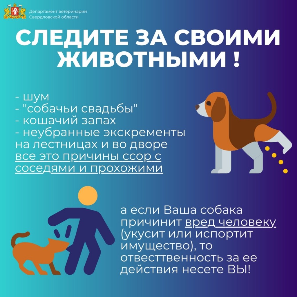 загруженное.jpg загруженное.jpg