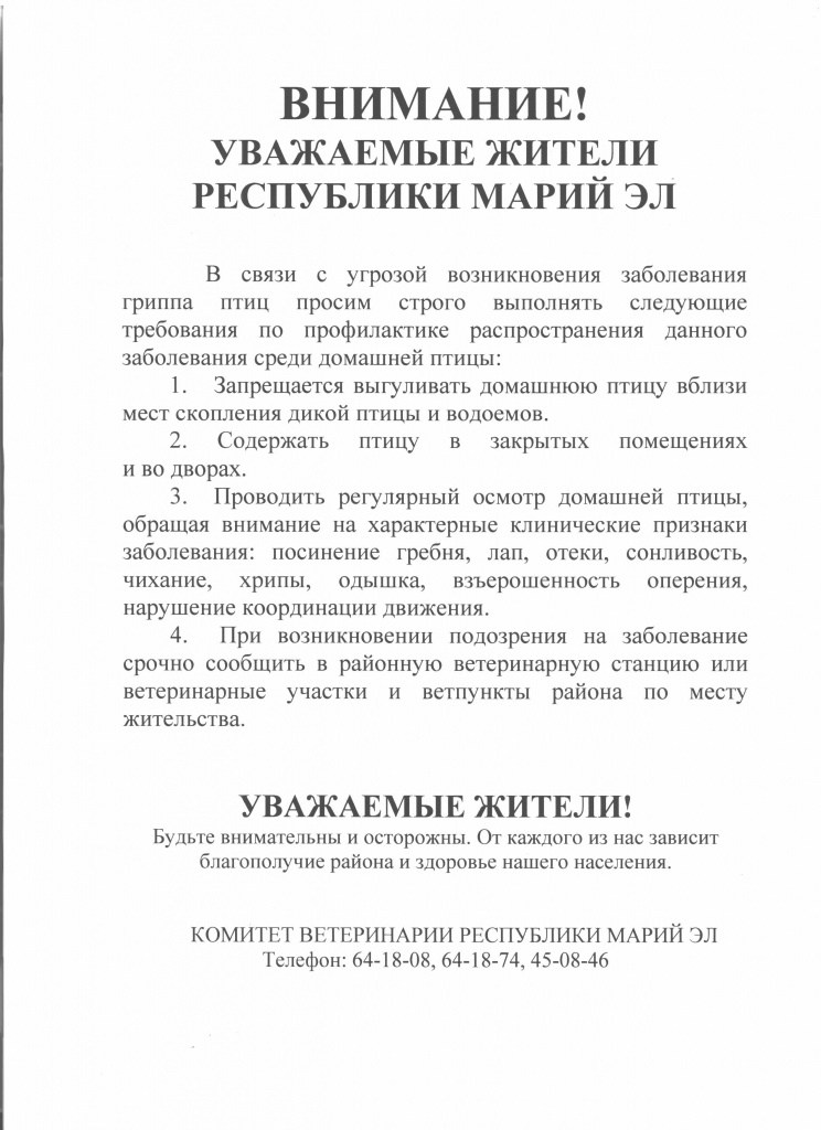 предупреждение.jpeg
