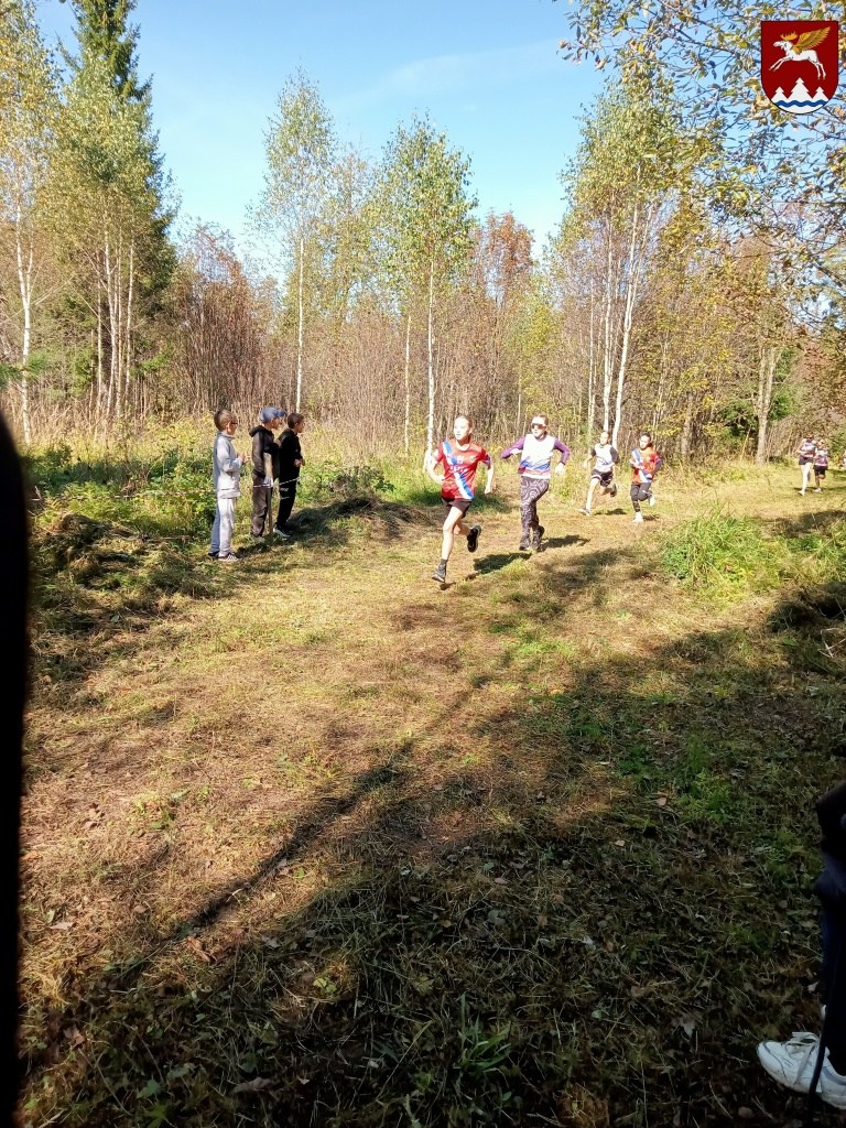 IMG20250913105611.jpg IMG20250913105611.jpg